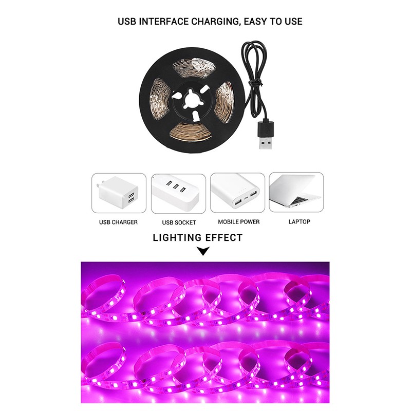 Reject shop led strip lights discount